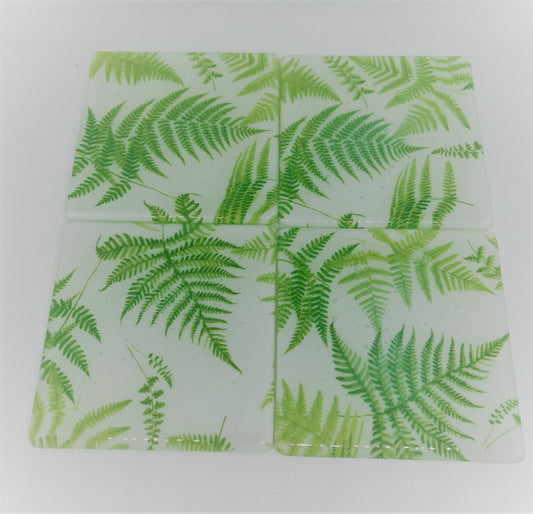 White Fern Coaster