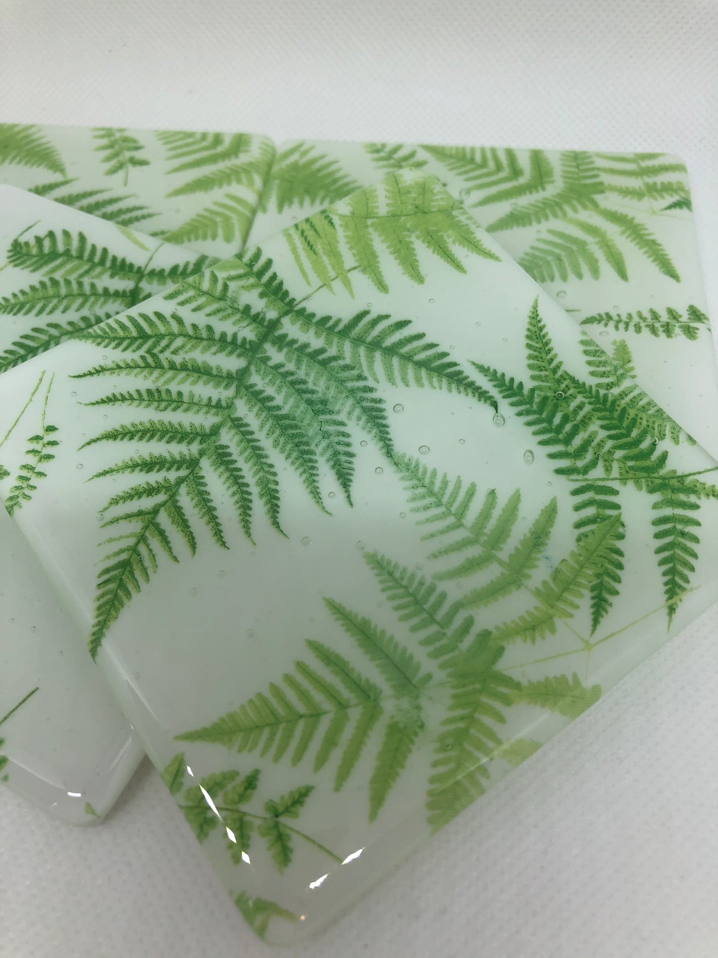 White Fern Coaster